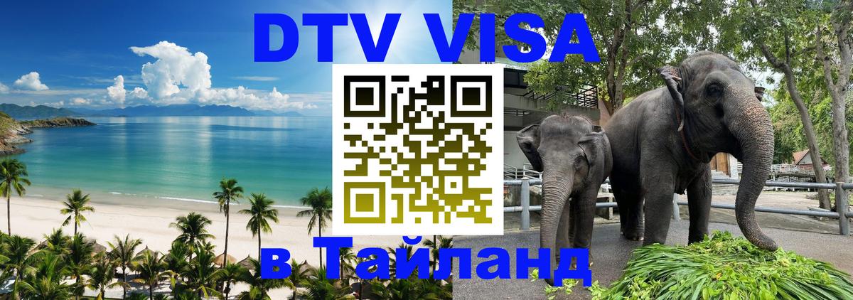 Сколько стоит DTV виза — актуальные цены, оформление даже без документов - 21.11.2025 